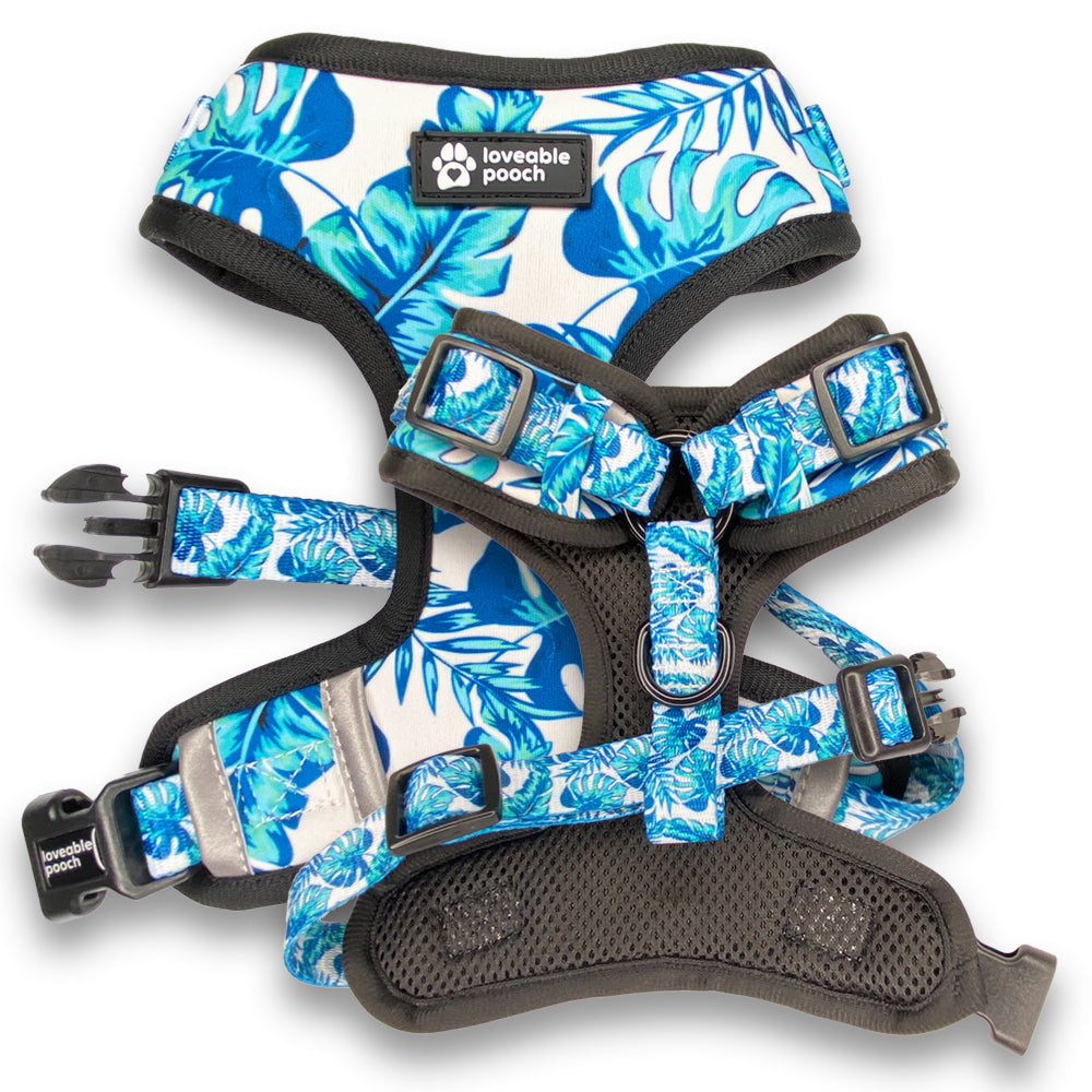 Front and rear view of Loveable Pooch's Beach Vibes Collection Adjustable Dog Harness