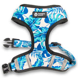 Front view of Loveable Pooch's Beach Vibes Collection Adjustable Dog Harness