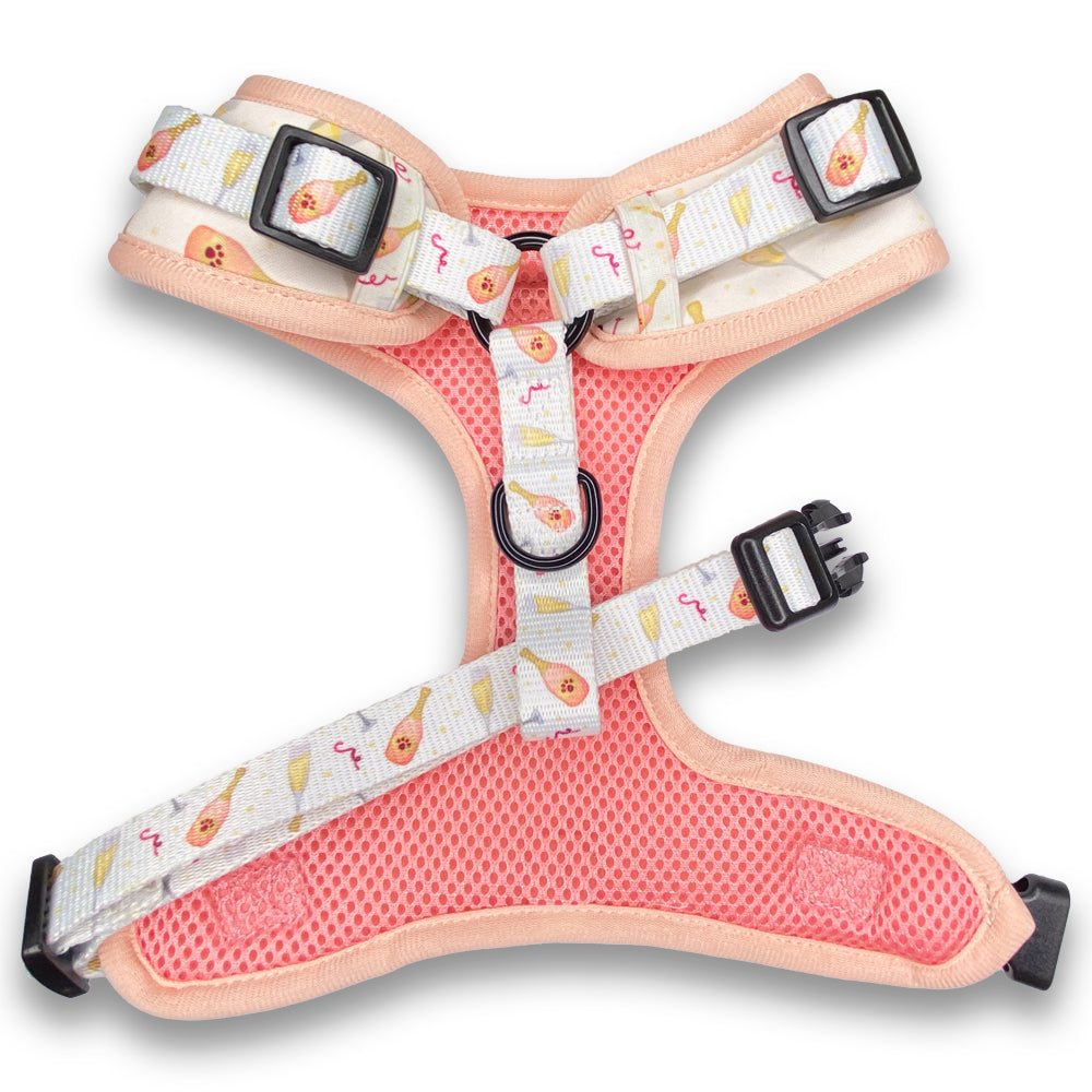 Rosé All Day Dog Harness and Leash Set