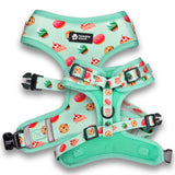 Front and rear view of Loveable Pooch's Sweet Treats Collection Adjustable Dog Harness